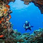 Scuba Diver Ocean Dimensions Maldives